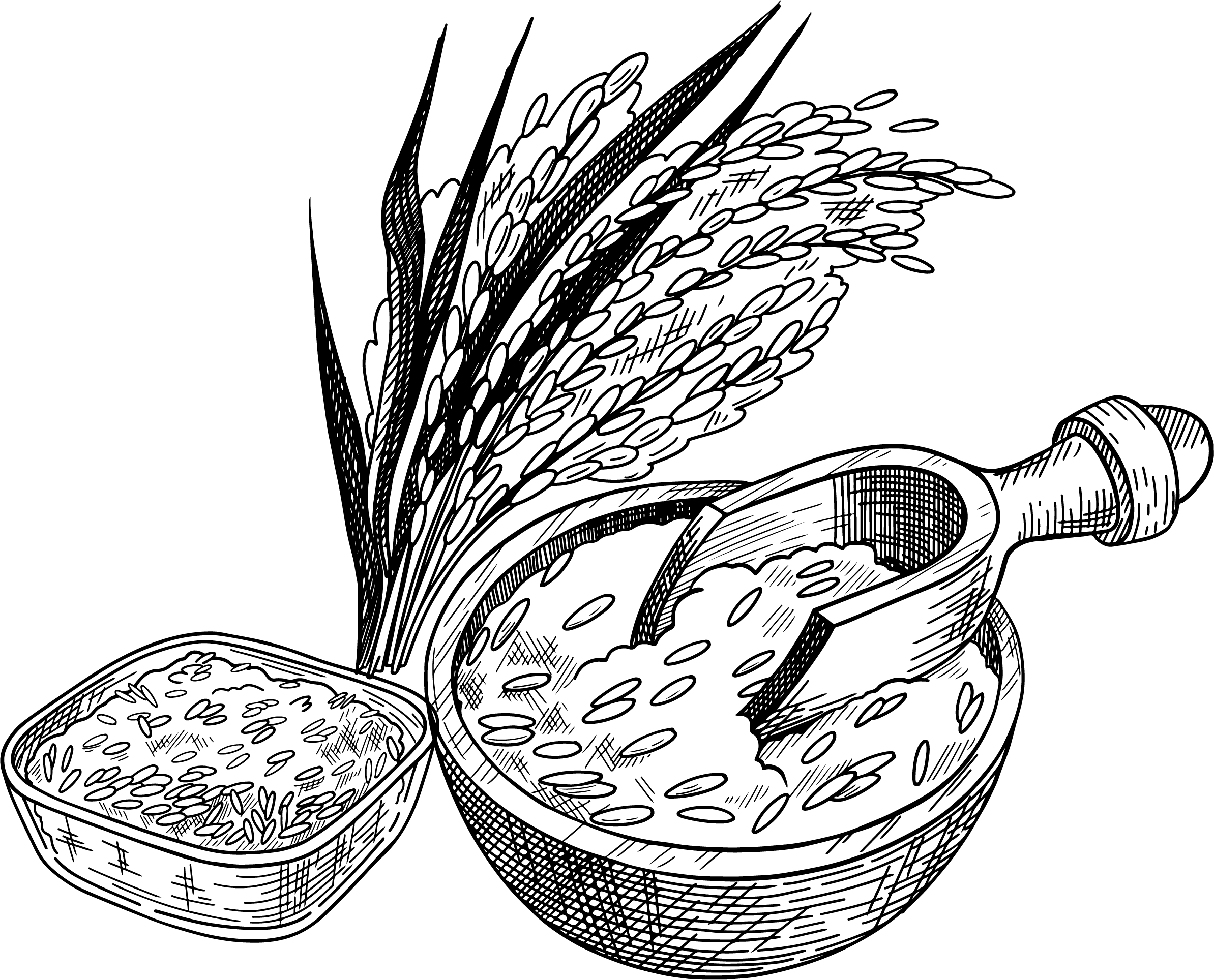Shape